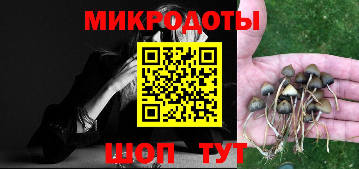 Псилоцибиновые грибы GOLDEN TEACHER Каспийск